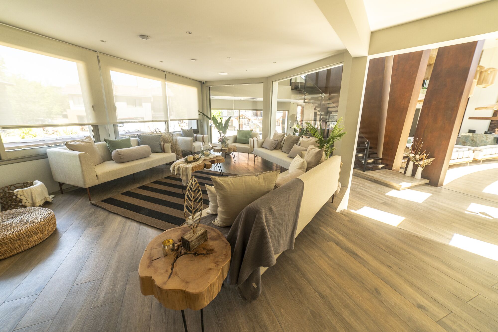 Televisión de pantalla plana