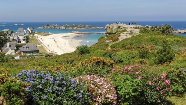A coastal landscape with a sandy beach, rocky outcrops, and a variety of flowering plants. - Les Herbes Folles - Tregastel (TREGASTEL)