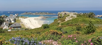 Les Herbes Folles - Tregastel