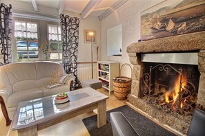 Televisión, chimenea, reproductor de DVD y libros 