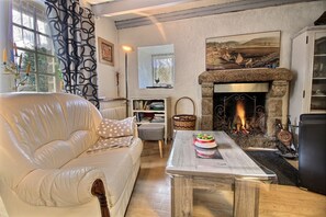 TV, fireplace, DVD player, books