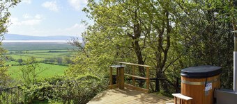 Bats About - UK45788