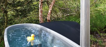 Bats About - UK45788