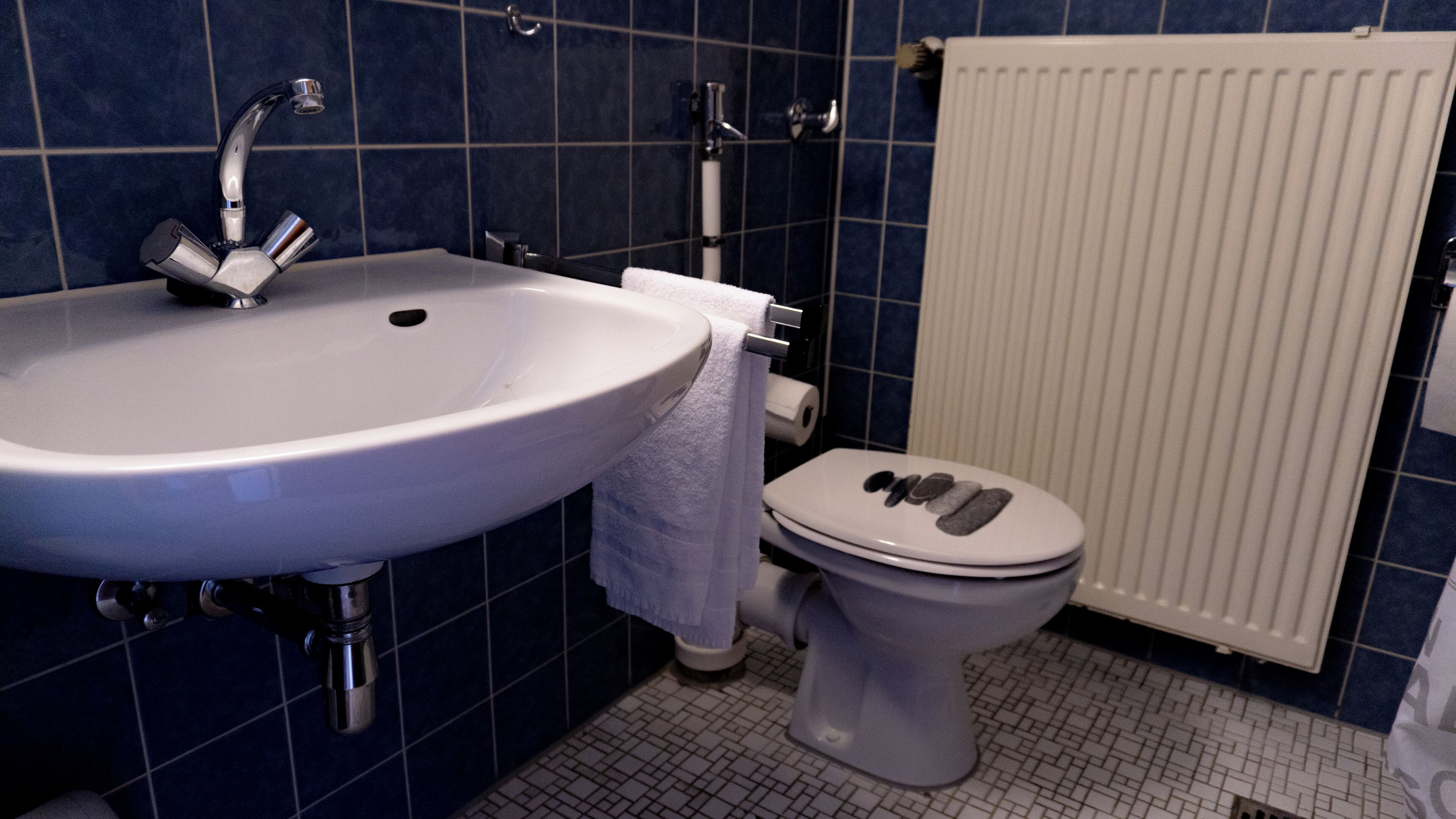 Une salle de bain avec un lavabo blanc, des toilettes et un radiateur blanc.