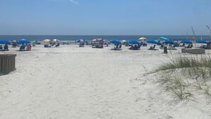 A beach with multiple umbrellas and beach chairs.
