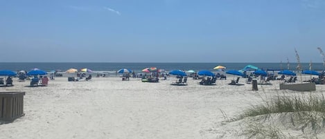 Playa en los alrededores y camastros