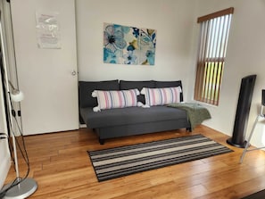 Smart TV, DVD player, books