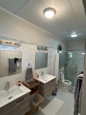 Shower, hair dryer, towels, soap - B’s Hidden Paradise (Mary’s Fancy)