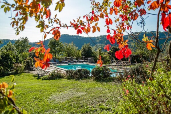 A swimming pool surrounded by greenery and hills.