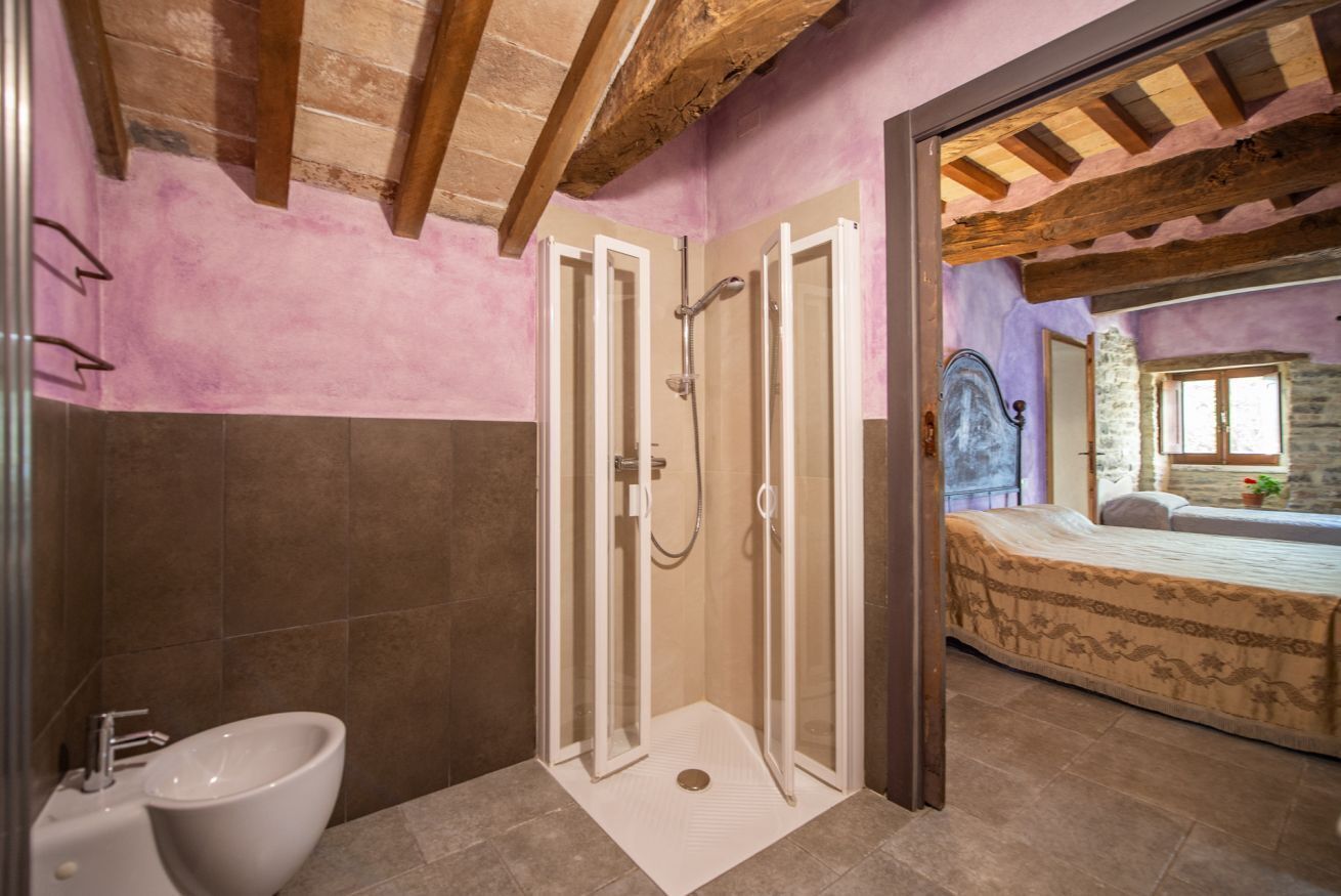 A bathroom with a shower, a sink, and a bed in the adjacent room.