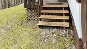 Una terraza de madera con escalones que conducen a un porche cubierto, rodeada por una valla de madera y una zona ajardinada.