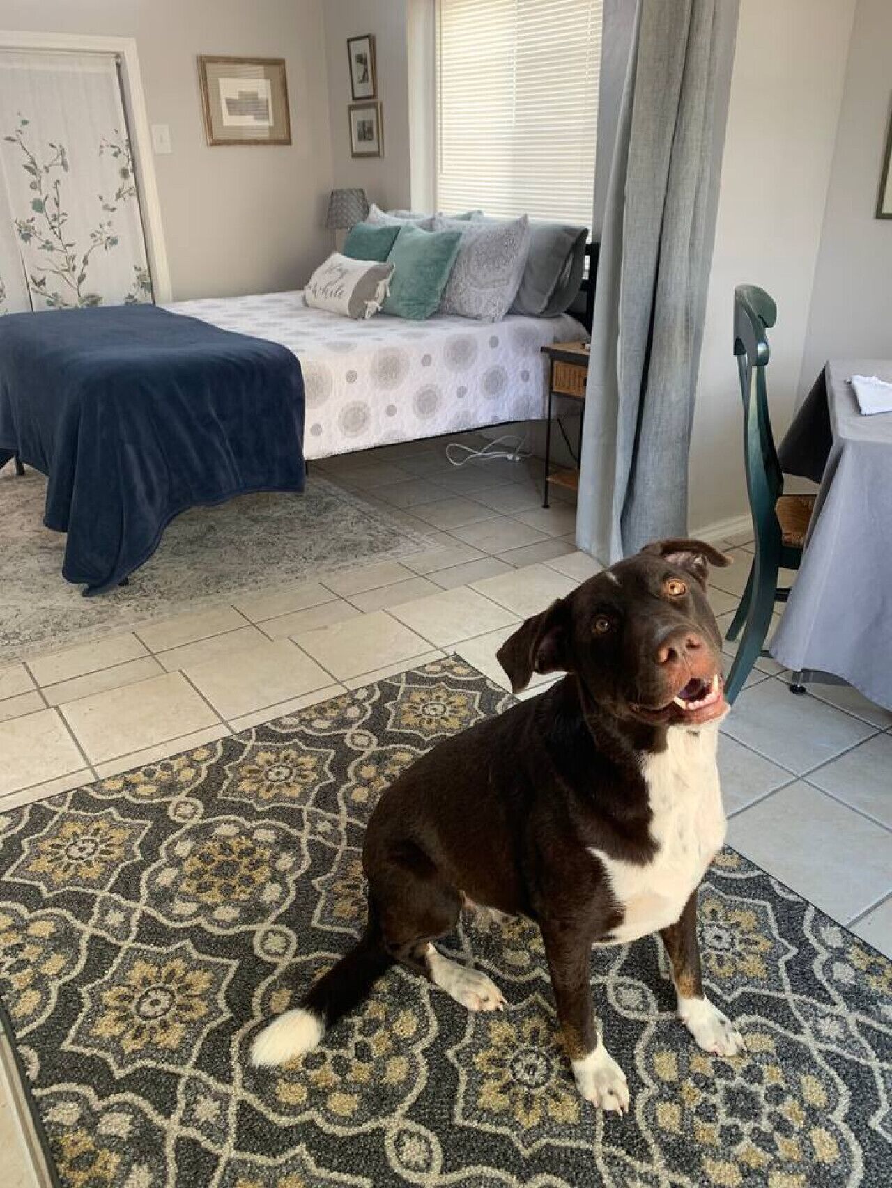 Skrivebord, wi-fi og sengetøy