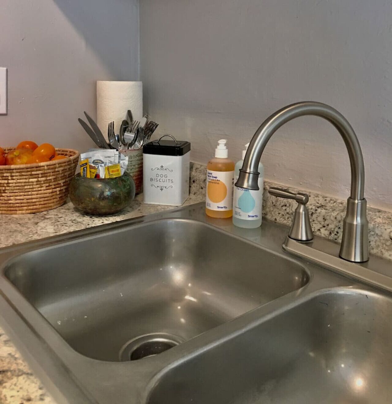 A kitchen sink with a modern faucet, a basket of oranges, a jar, and a container labeled 'DOG BISCUITS'.