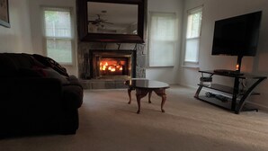 Una sala de estar con chimenea, televisor y sofá.
