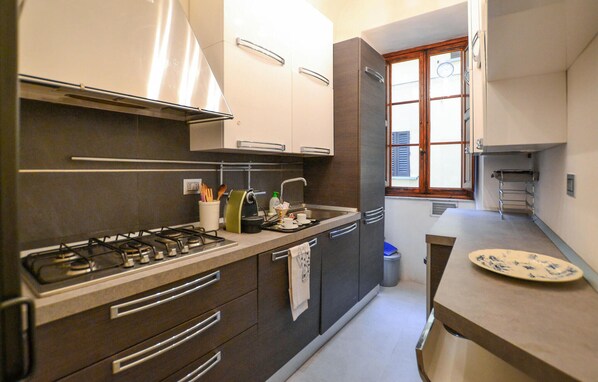 Kühlschrank, Herdplatte, Geschirrspüler