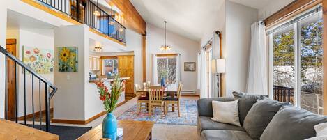 Télévision, cheminée, lecteur de DVD, livres