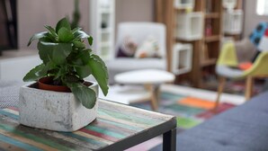 A potted plant on a wooden table in a room with a bookshelf and a white chair. - Rive Droite by Interhome (La Bernerie-en Retz)