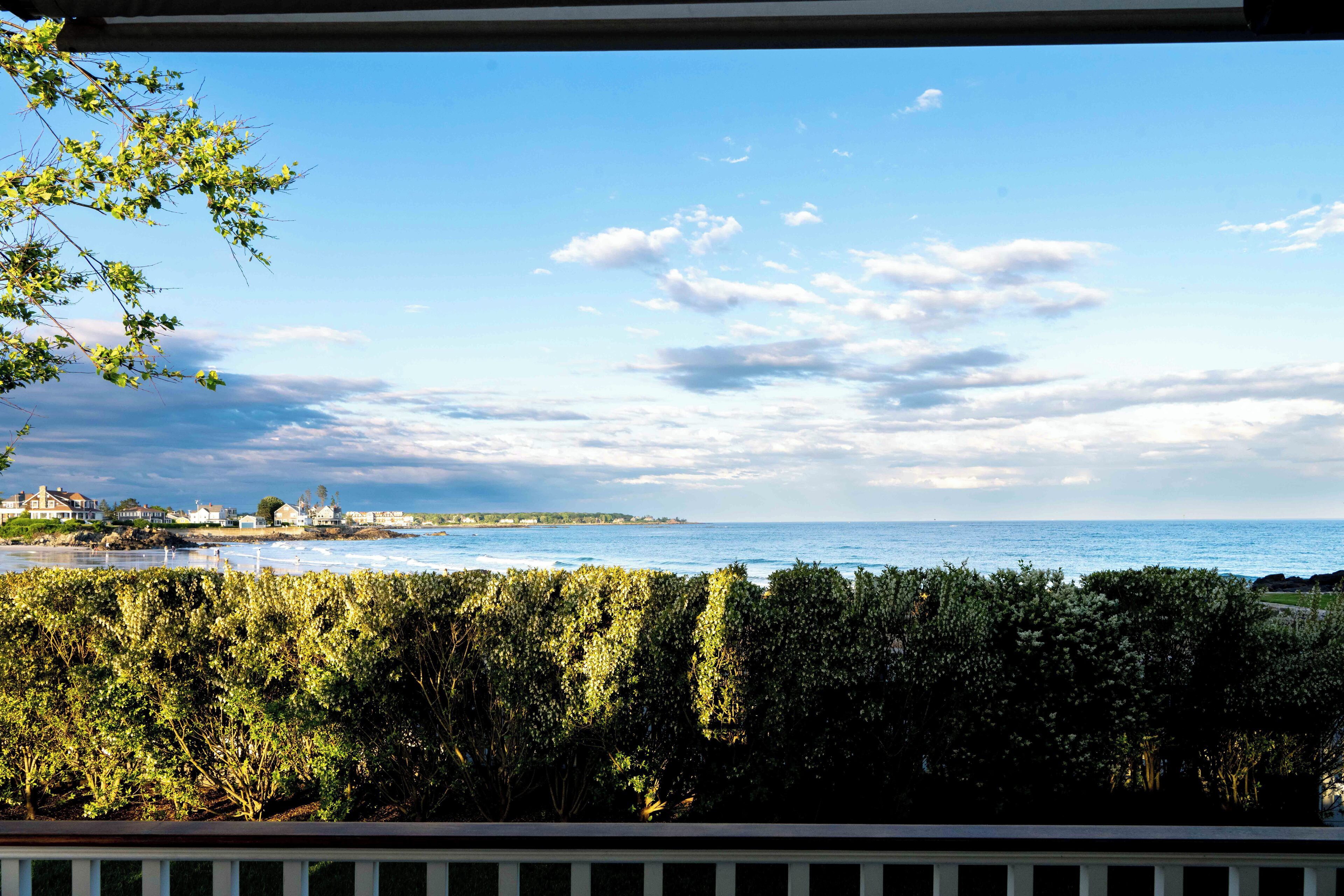 Une vue sur la côte, avec un ciel dégagé, une haie au premier plan et une ligne de rivage lointaine parsemée de bâtiments.