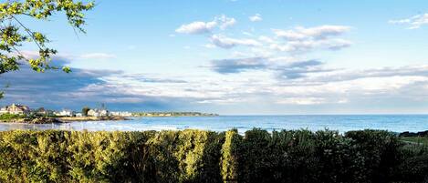 Une vue sur la côte, avec un ciel dégagé, une haie au premier plan et une ligne de rivage lointaine parsemée de bâtiments.