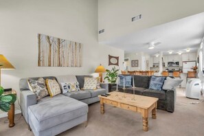 Télévision, cheminée, espaces bureaux