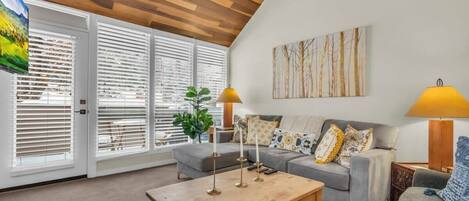 TV, fireplace, offices