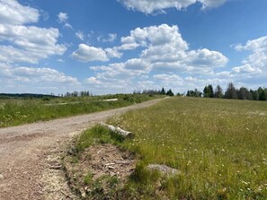 A dirt path leading through a grassy field with trees in the background.