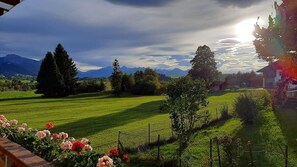 Ett lantligt landskap med ett fält, träd och berg i bakgrunden.