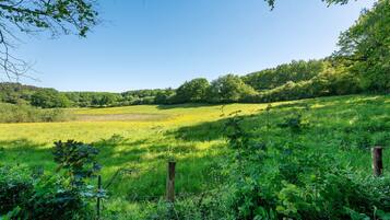 Ein grasbewachsenes Feld mit einem Zaun und Bäumen im Hintergrund.