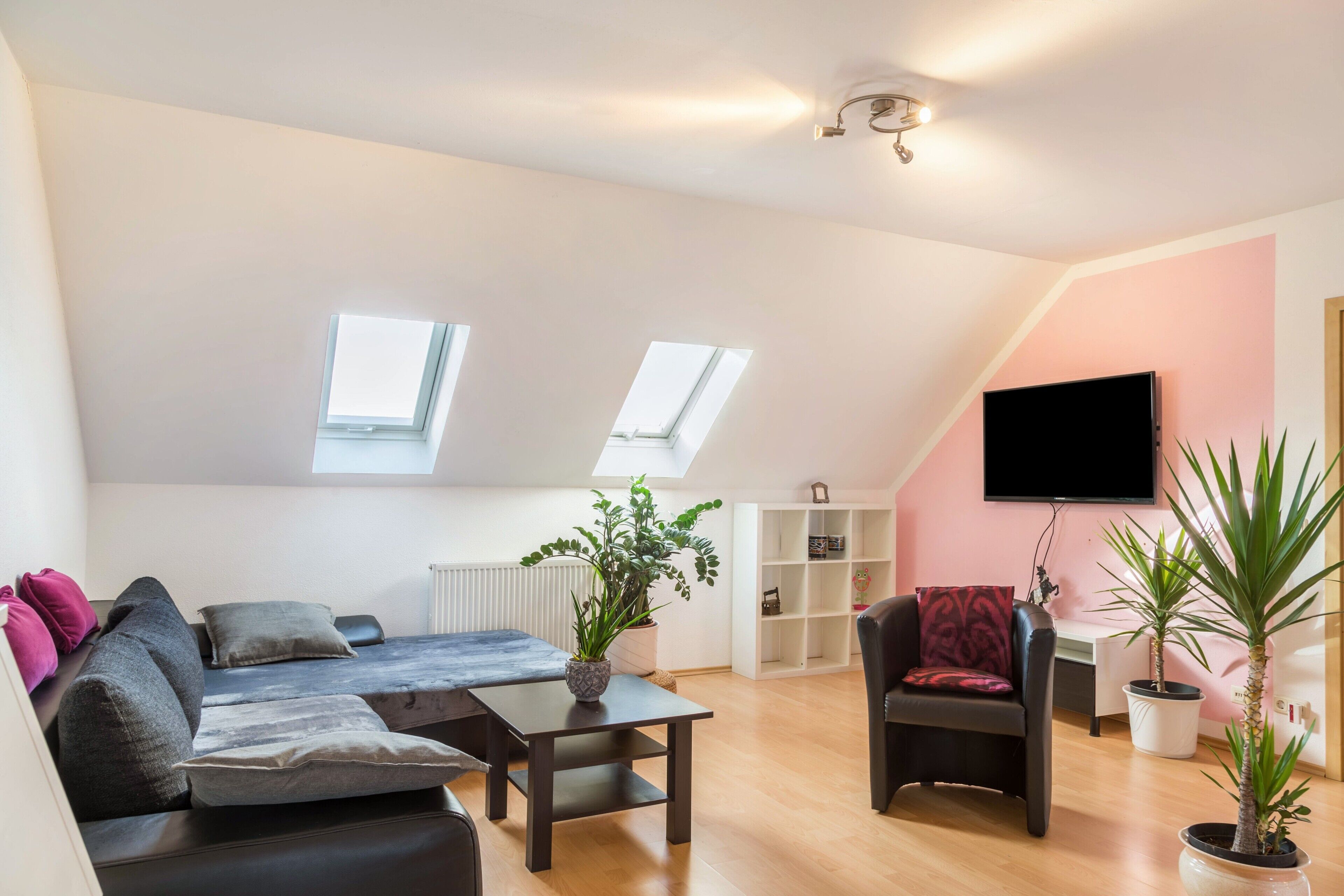 TV, video-game console, DVD player