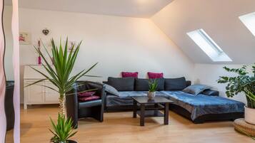 Televisión, consola de videojuegos, reproductor de DVD