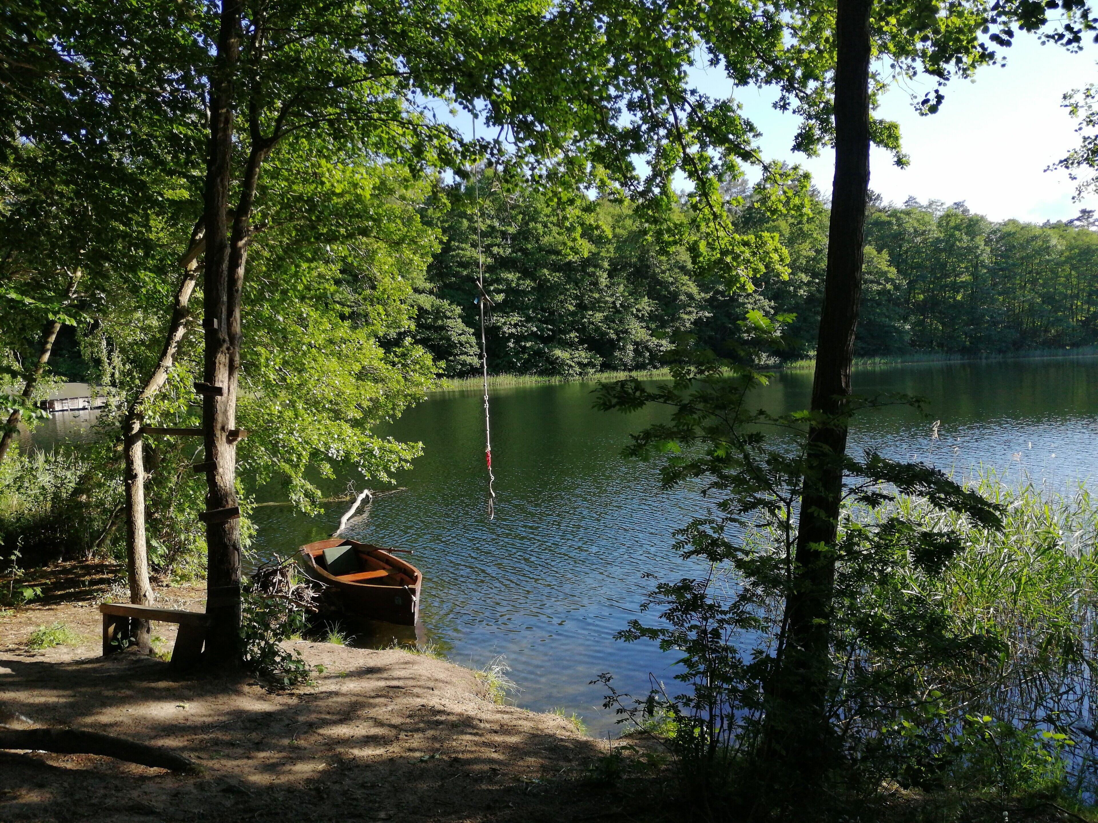 Eine friedliche Uferlandschaft mit einem hölzernen Boot, das an einem Bankchen liegt, umgeben von dichten Bäumen und ruhigem Wasser.