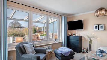 Televisio, takka, DVD-soitin, stereot