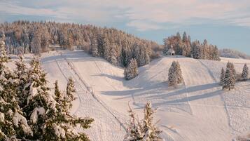 Une piste de ski enneigée, avec des arbres et un bâtiment visible au loin.
