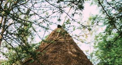 Patamu Restaurant & Lodge