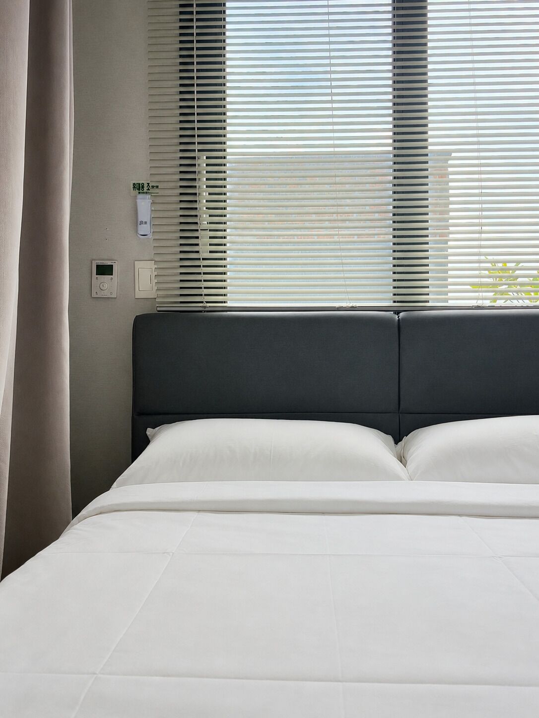 2 habitaciones y sábanas de algodón egipcio 