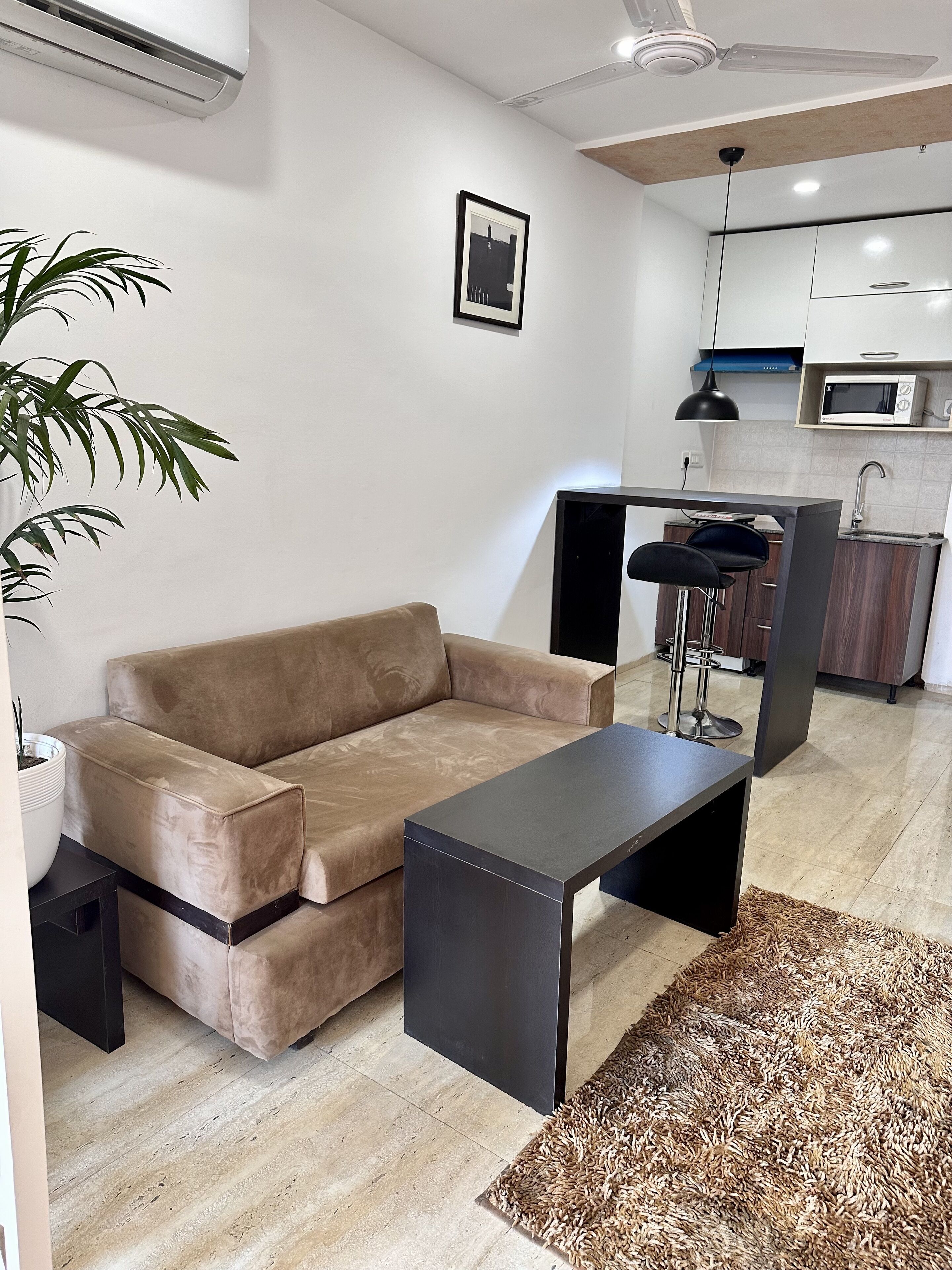 A modern living room with a beige sofa, a black coffee table, and a potted plant.
