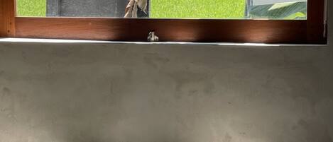 Sèche-cheveux, bidet, serviettes fournies, savon