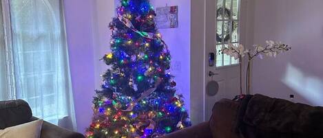 TV connectée, cheminée, chaßne hi-fi