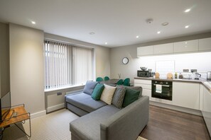 TV - Spacious self-contained city apartment (Sheffield)