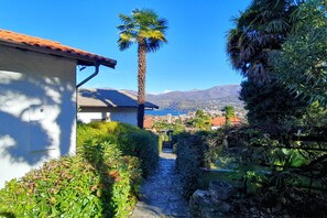 A stone pathway leading to a white building with a tiled roof, surrounded by lush greenery and a palm tree.