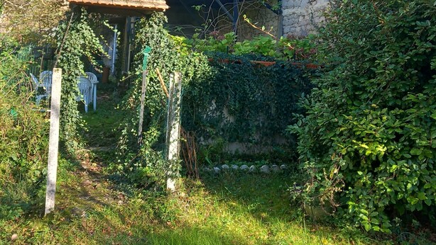 Un bâtiment rustique doté d’un balcon bleu, entouré d’une végétation luxuriante et agrémenté d’une pergola en bois.