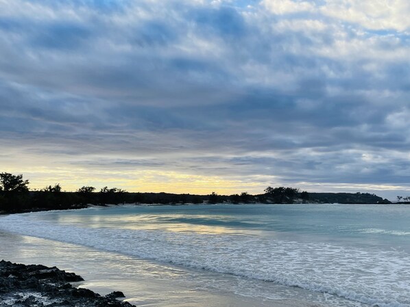 Parcours aventure (team building)