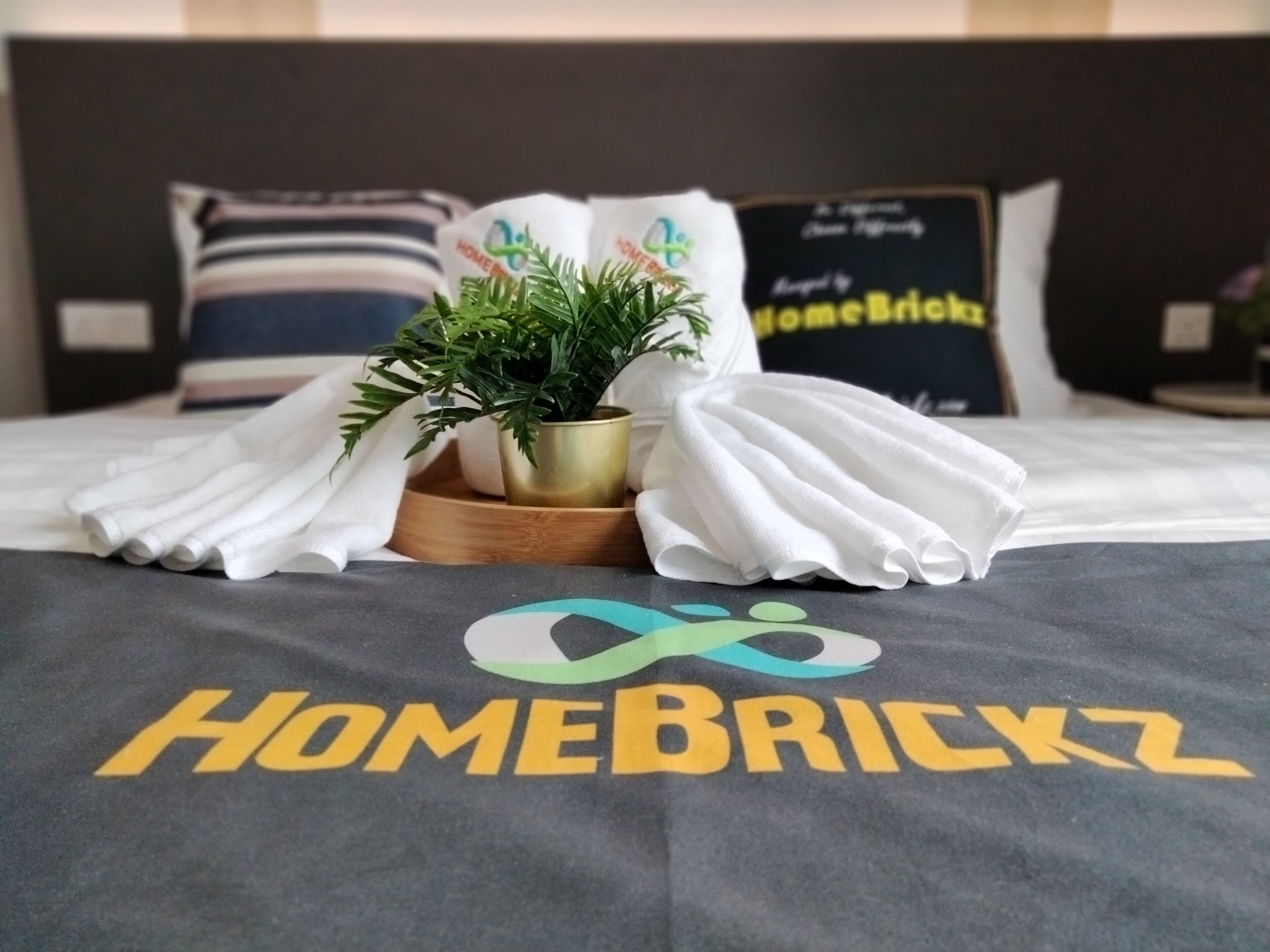 Un lit bien fait, avec une couverture ornée du texte « HomeBrickyZ » et une plante décorative dans un pot doré.