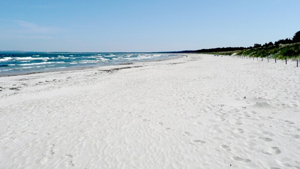 A wide sandy beach with gentle waves, a clear sky, and a line of vegetation along the right side.