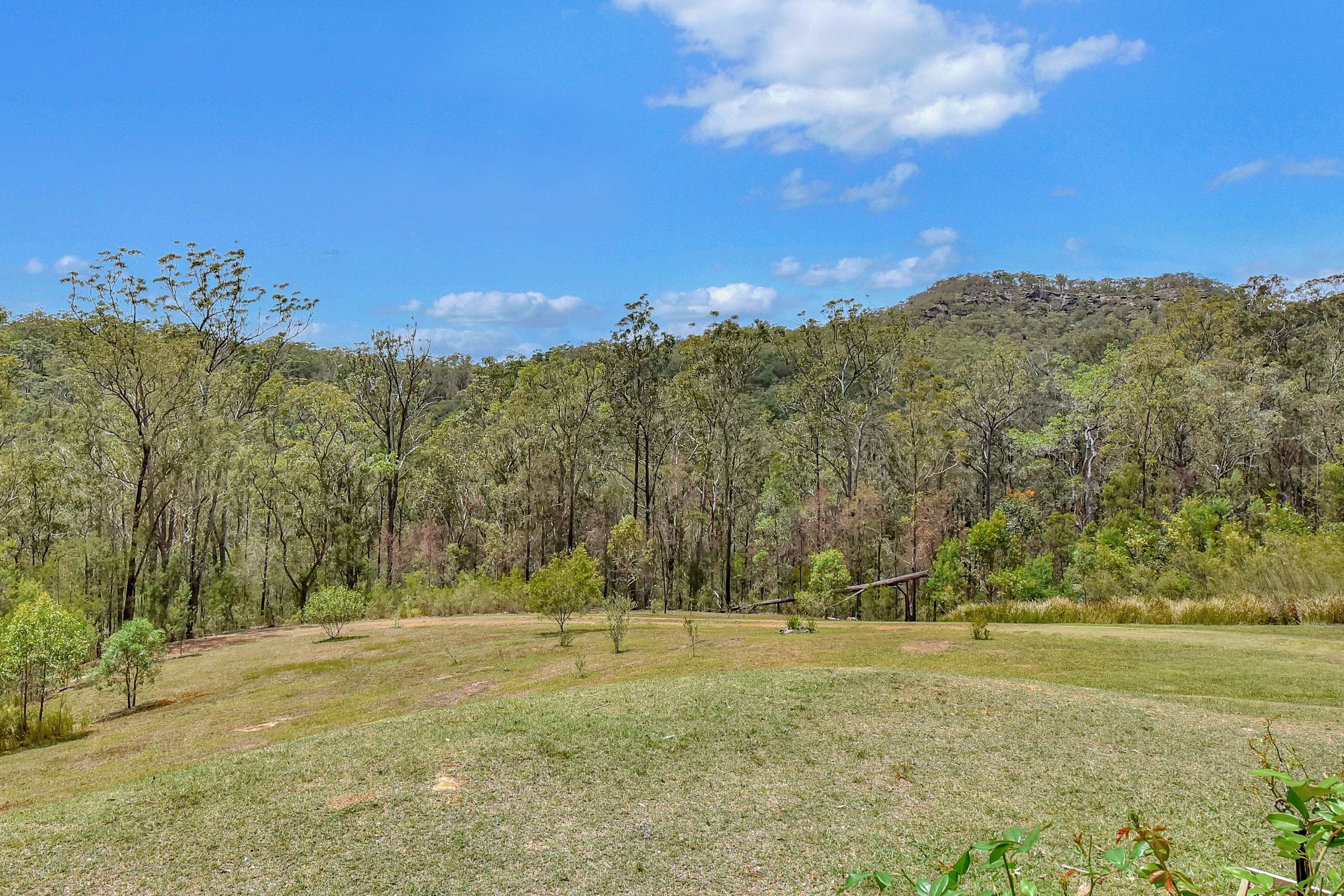 A natural landscape with a grassy field, trees, and a hill in the background.