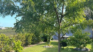 Un pequeño árbol rodeado de rocas y hierba en un jardín cuidado.