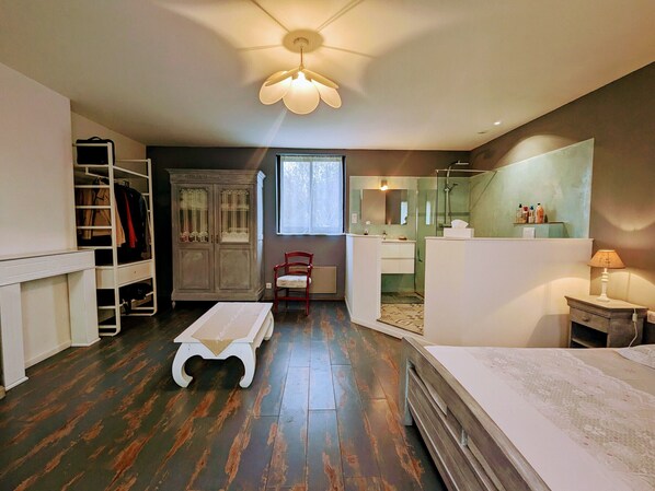 A compact room with a wardrobe, a small table, a bed, a mirror, and a shower area.