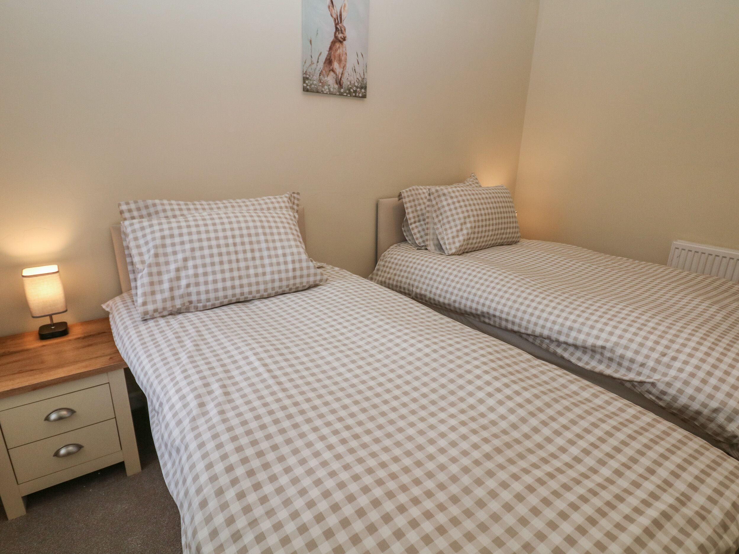 A twin room with two beds, each with checkered bedding, a bedside table with a lamp, and a small drawer.