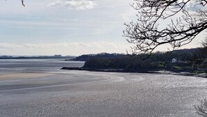 Un paisaje costero con playa, agua tranquila y una línea de árboles.