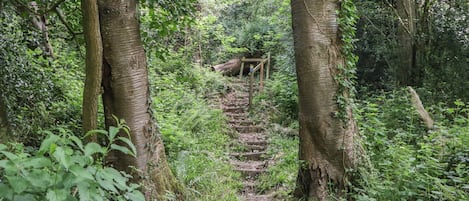 Cottage | Property grounds